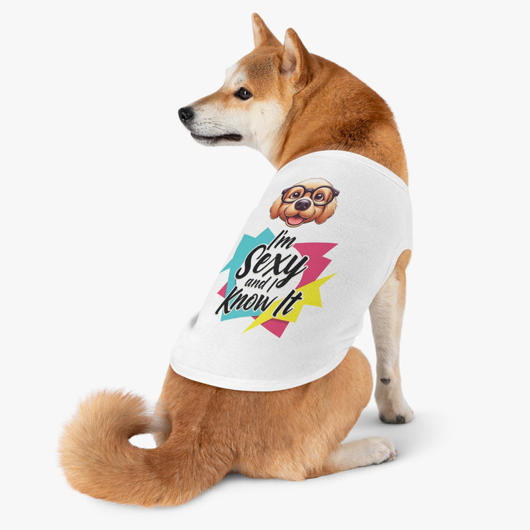 Pet Accessories